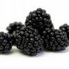 blackberries430x300_0.jpg