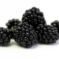 blackberries430x300_1.jpg